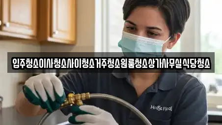 입주청소이사청소사이청소거주청소원룸청소상가사무실식당청소