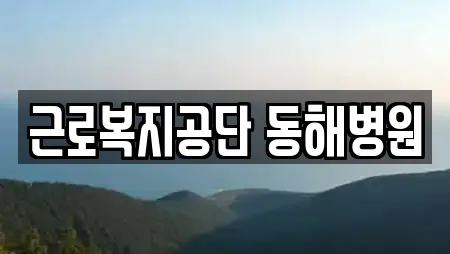 근로복지공단 동해병원