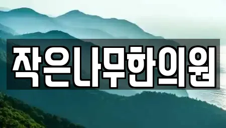 작은나무한의원