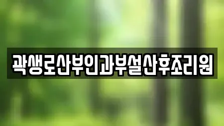 성남시 중원구 하대원동 산후조리원 업체 정보 모음 24