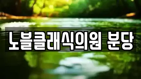 노블클래식의원 분당