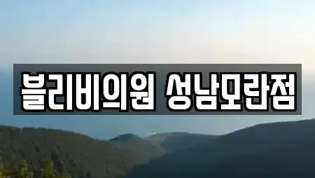 블리비의원 성남모란점