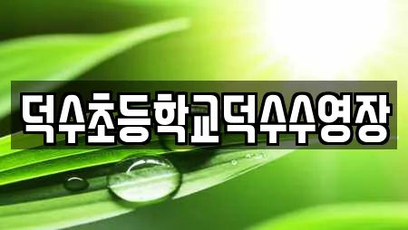 덕수초등학교덕수수영장