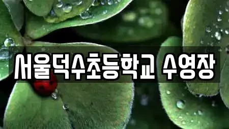 서울덕수초등학교 수영장