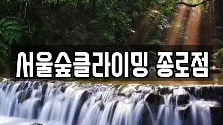 서울숲클라이밍 종로점