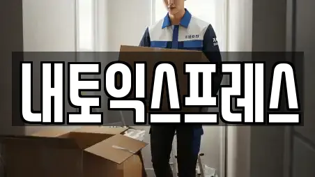 내토익스프레스