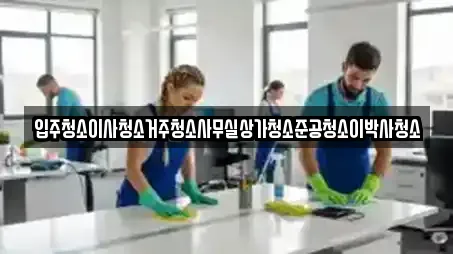 입주청소이사청소거주청소사무실상가청소준공청소이박사청소