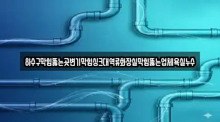 하수구막힘뚫는곳변기막힘싱크대역류화장실막힘뚫는업체욕실누수
