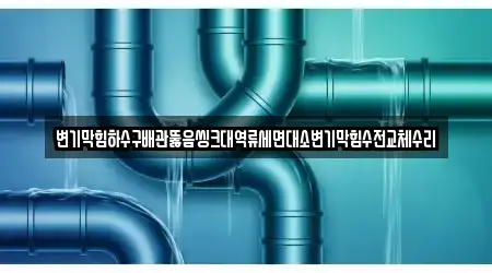 변기막힘하수구배관뚫음씽크대역류세면대소변기막힘수전교체수리