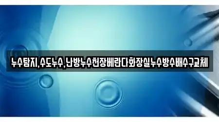 누수탐지,수도누수,난방누수천장베란다화장실누수방수배수구교체