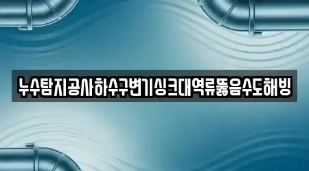 누수탐지공사하수구변기싱크대역류뚫음수도해빙