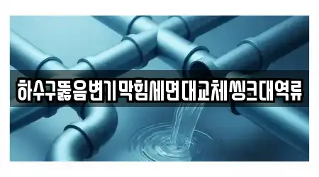 하수구뚫음변기막힘세면대교체씽크대역류