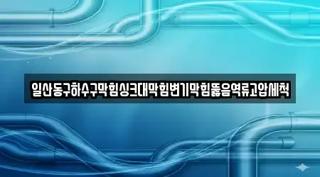 일산동구하수구막힘싱크대막힘변기막힘뚫음역류고압세척