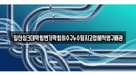 일산싱크대막힘변기막힘하수구누수탐지고압세척영구배관