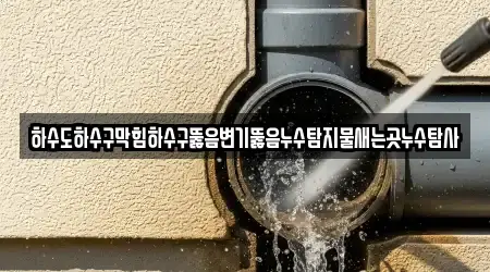 하수도하수구막힘하수구뚫음변기뚫음누수탐지물새는곳누수탐사