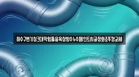 하수구변기싱크대막힘뚫음옥상방수누수페인트시공정화조뚜껑교체