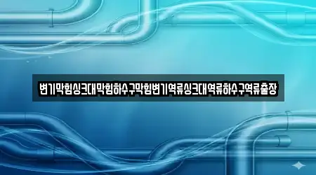변기막힘싱크대막힘하수구막힘변기역류싱크대역류하수구역류출장