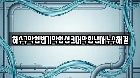 하수구막힘변기막힘싱크대막힘냄새누수해결