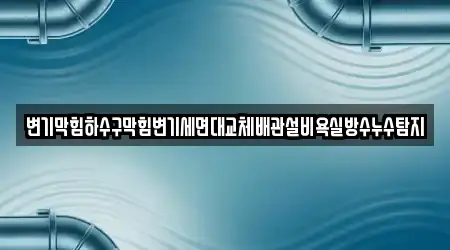 변기막힘하수구막힘변기세면대교체배관설비욕실방수누수탐지