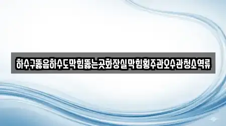 하수구뚫음하수도막힘뚫는곳화장실막힘횡주관오수관청소역류