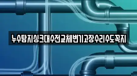 누수탐지싱크대수전교체변기고장수리수도꼭지