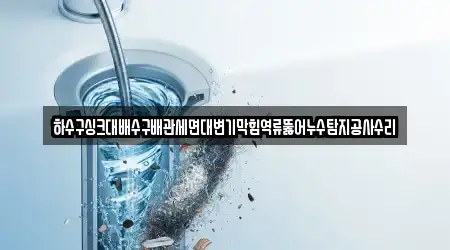 성주군 선남면 근처 배수구 막힘 업체 1곳 위치