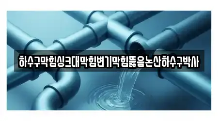 하수구막힘싱크대막힘변기막힘뚫음논산하수구박사