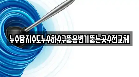 누수탐지수도누수하수구뚫음변기뚫는곳수전교체