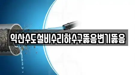 변기막힘 제공 서비스 8건 전북특별자치도 중앙동2가