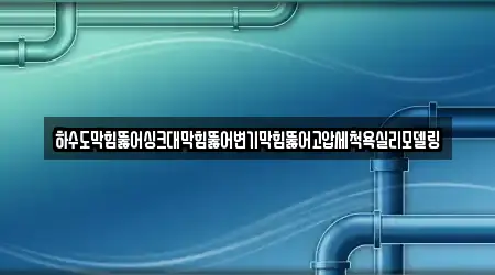 하수도막힘뚫어싱크대막힘뚫어변기막힘뚫어고압세척욕실리모델링