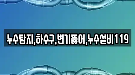 누수탐지,하수구,변기뚫어,누수설비119