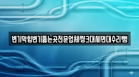 변기막힘변기뚫는곳전문업체씽크대세면대수리뻥