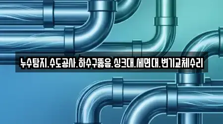 누수탐지.수도공사.하수구뚫음.싱크대.세면대.변기교체수리