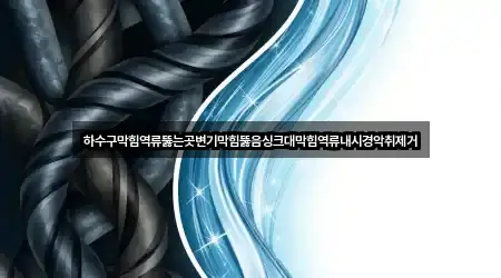 하수구막힘역류뚫는곳변기막힘뚫음싱크대막힘역류내시경악취제거