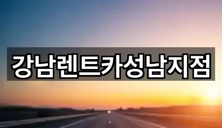 오늘 기준 성남 수진동 렌트카 5곳
