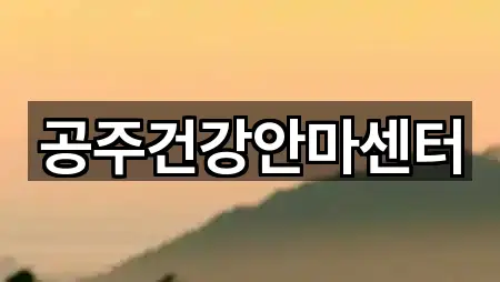 충남 공주시 교동 마사지 5곳 지도 체크