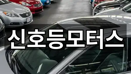 연락처로 GO: 부산광역시 만덕동 중고차 5곳