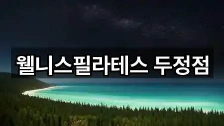 웰니스필라테스 두정점