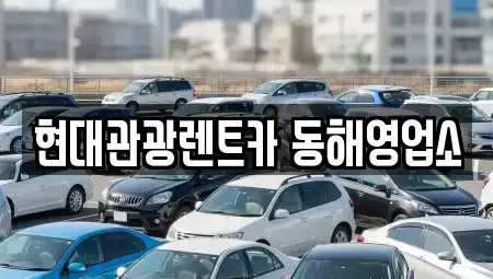 강원 동해시 쇄운동 렌트카 전문 현대관광렌트카 동해영업소