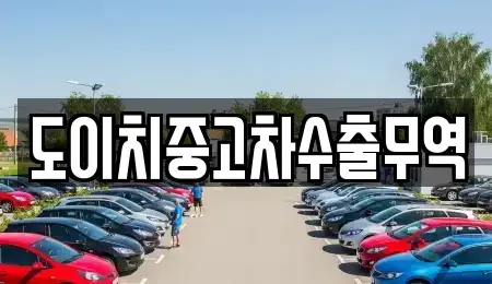 강원특별자치도 철원군 철원읍 중고차 전문 도이치중고차수출무역