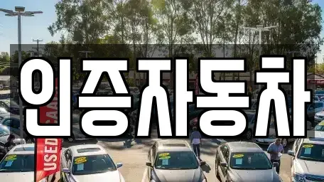 경기 양평군 서종면 중고차매매 전문 인증자동차