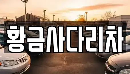 경기 양평군 서종면 중고차매입 전문 황금사다리차