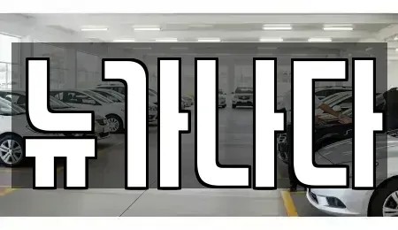 경기도 고양시 덕양구 행신동 렌트카 전문 뉴가나다