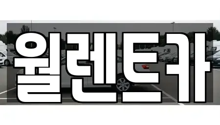 경기도 성남시 수정구 수진동 렌트카 전문 월렌트카