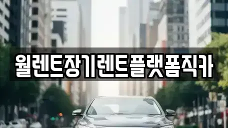경기도 성남시 수정구 수진동 장기렌트카 전문 월렌트장기렌트플랫폼직카