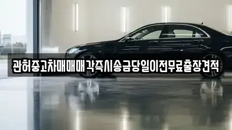 경기도 파주시 금릉동 중고차 전문 관허중고차매매매각즉시송금당일이전무료출장견적