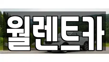 경기도 평택시 청북읍 렌트카 전문 월렌트카