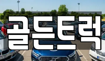 경기도 평택시 청북읍 중고차 전문 골든트럭