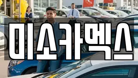 경기도 평택시 청북읍 중고차 전문 미소카멕스
