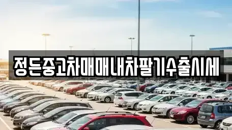 경기도 포천시 영중면 중고차 전문 정든중고차매매내차팔기수출시세